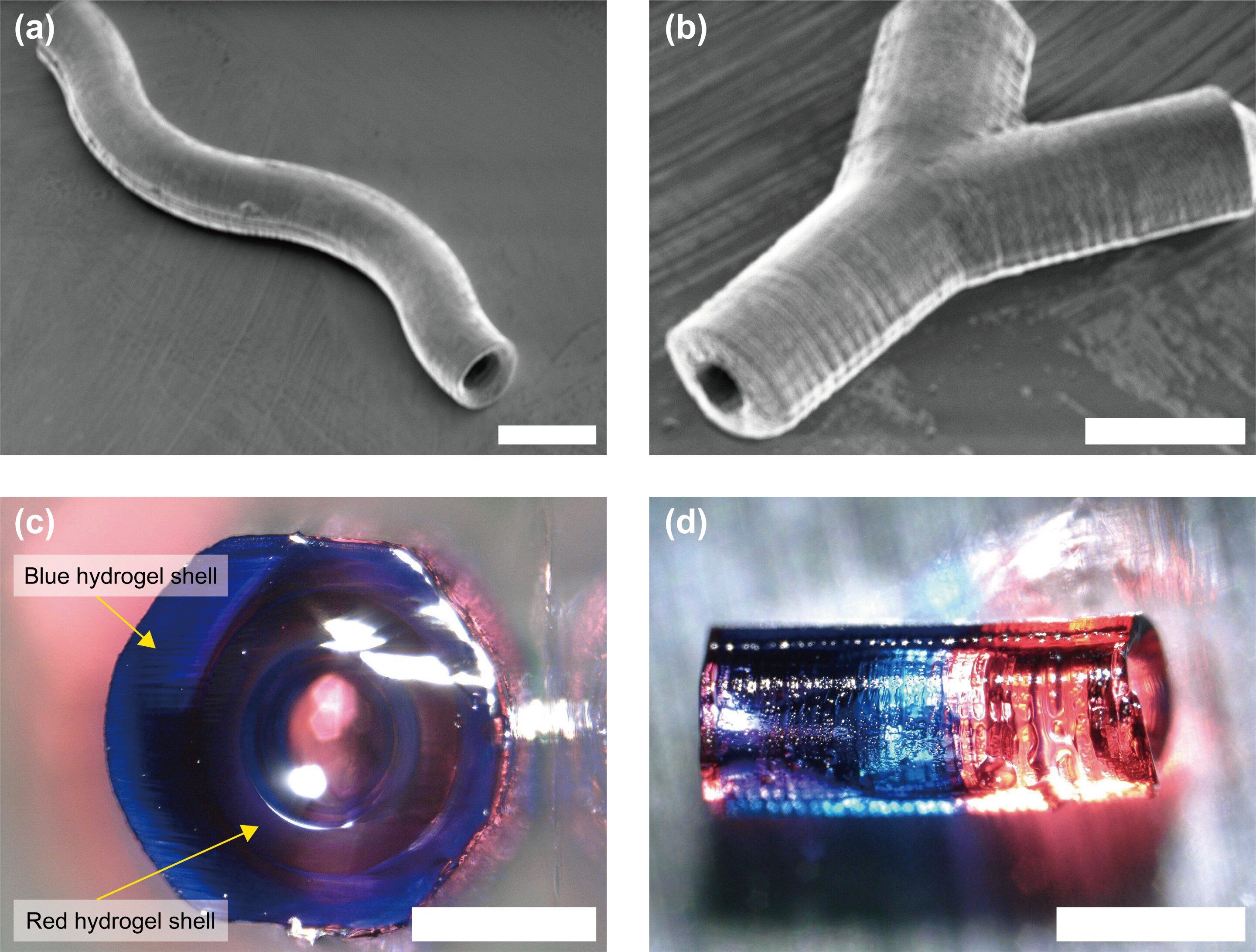 A step closer to artificial organs: UV light shapes arteriole-scale hydrogel vessels