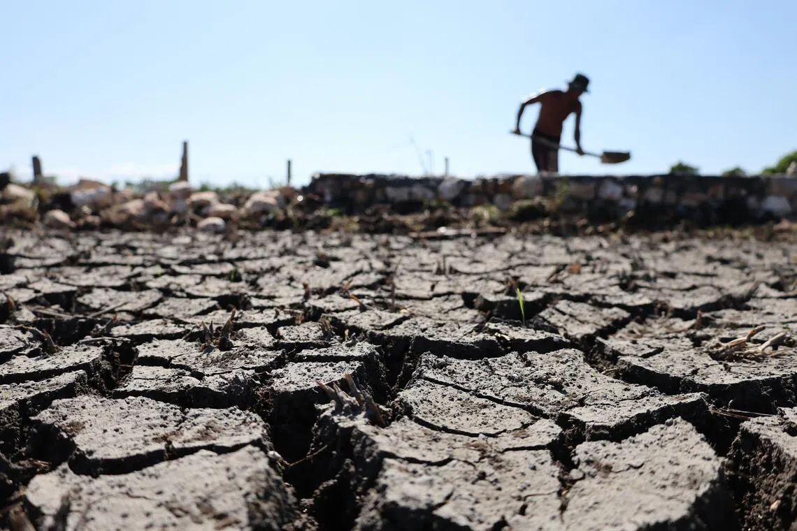 Asia faces major risks of extreme weather conditions from ‘super’ El Nino, insurer says