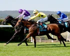 Billy ‘the Kid’ and Bow Echo public favourites after great escape at Goodwood
