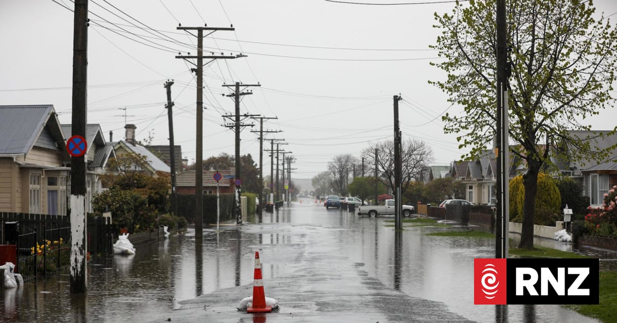 Council looks at short-term infrastructure fixes to protect South Dunedin