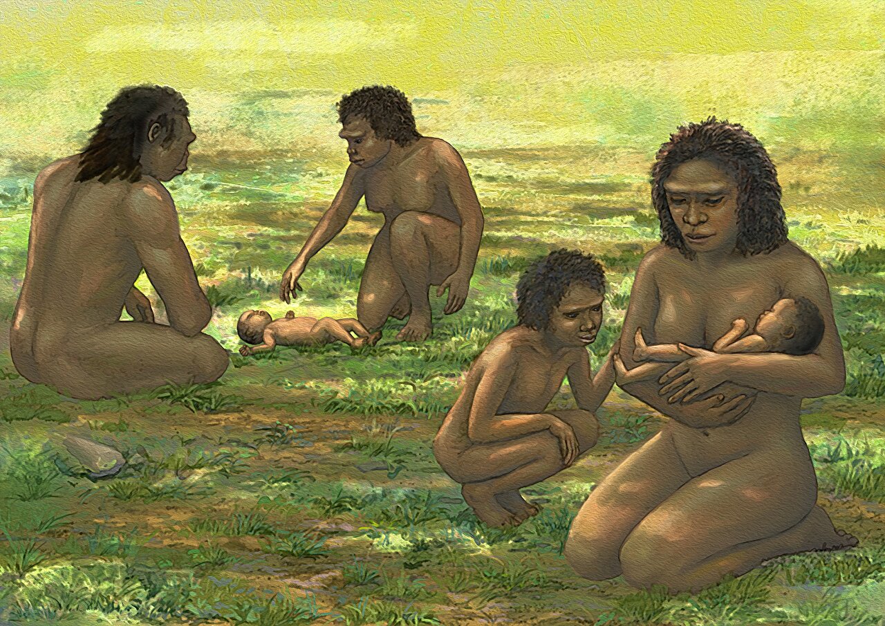 Deformed head shapes in fossilized humans show their infants were probably just as helpless as modern human babies