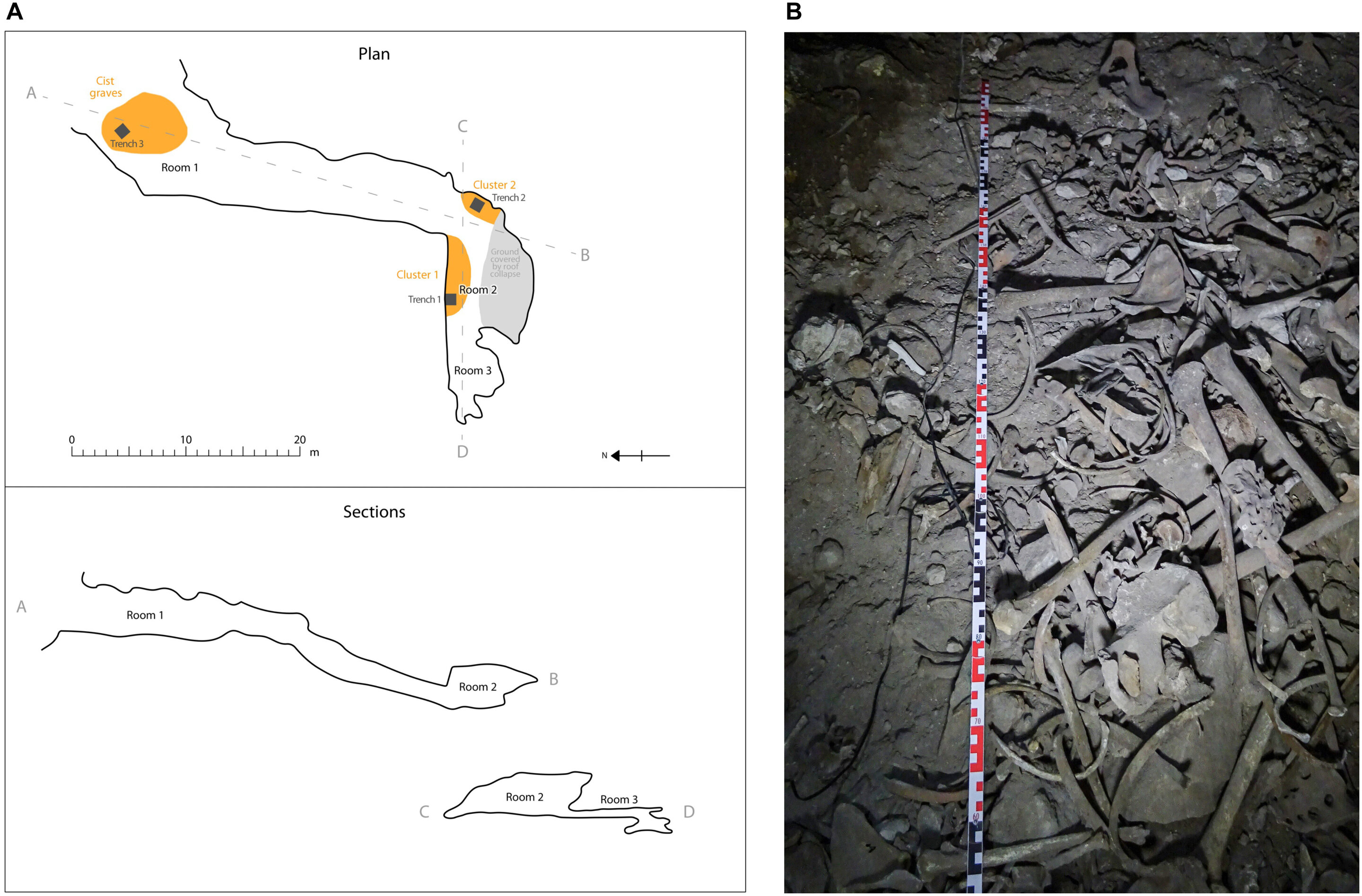 DNA studies uncover a forgotten population at the top of the world