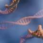 Flexible DNA directs proteins into atomically ordered crystals, overturning crystallization assumptions