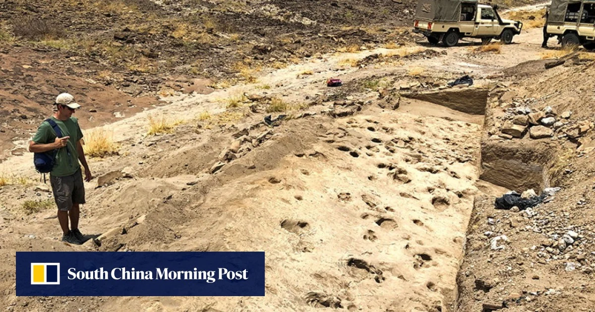 Footprints in Kenya shed light on prehistoric human cousin Paranthropus