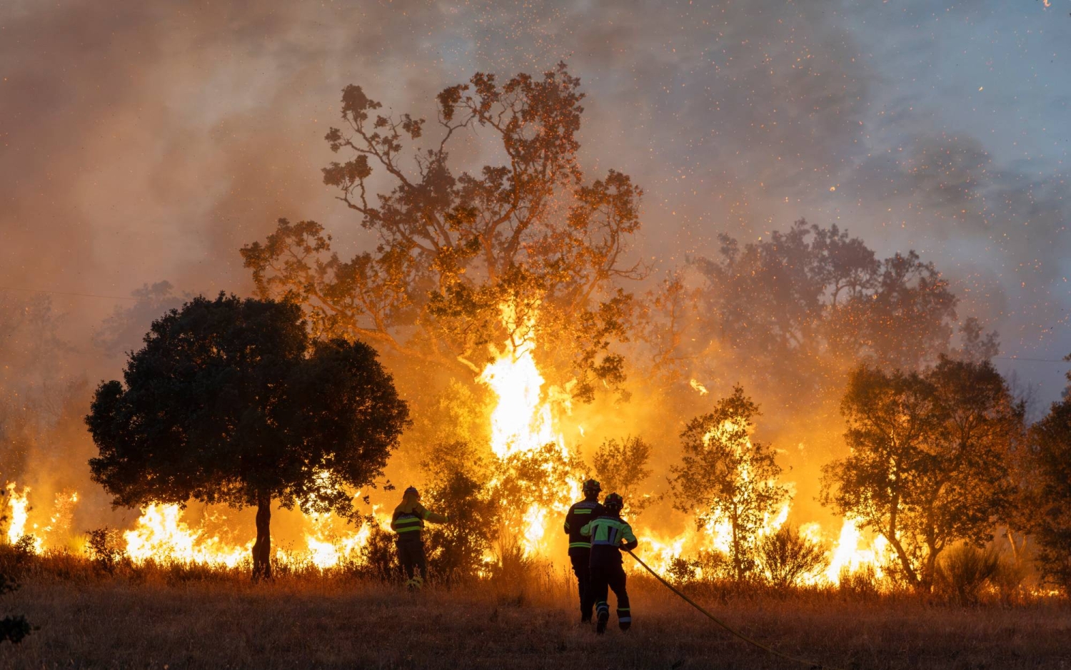 France and Spain make progress on wildfires as two die in Greece