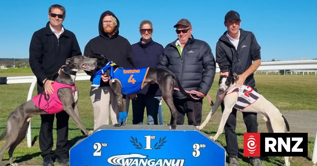 Greyhound trainers face up to future without racing