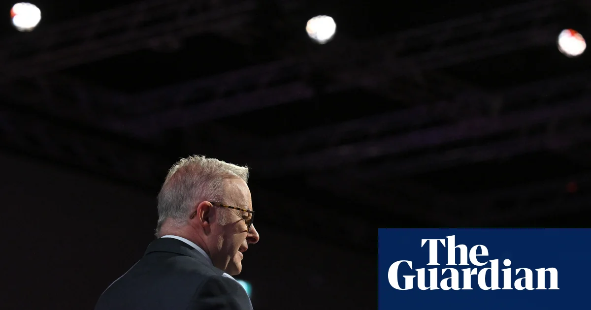 Guardian Essential report: the Labor health check - podcast
