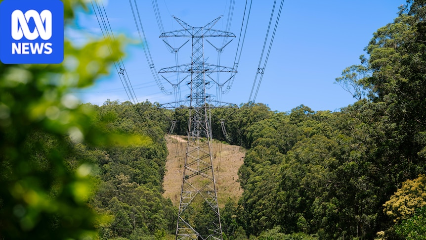 Hunter transmission line approved after rerouting around homes, frogs