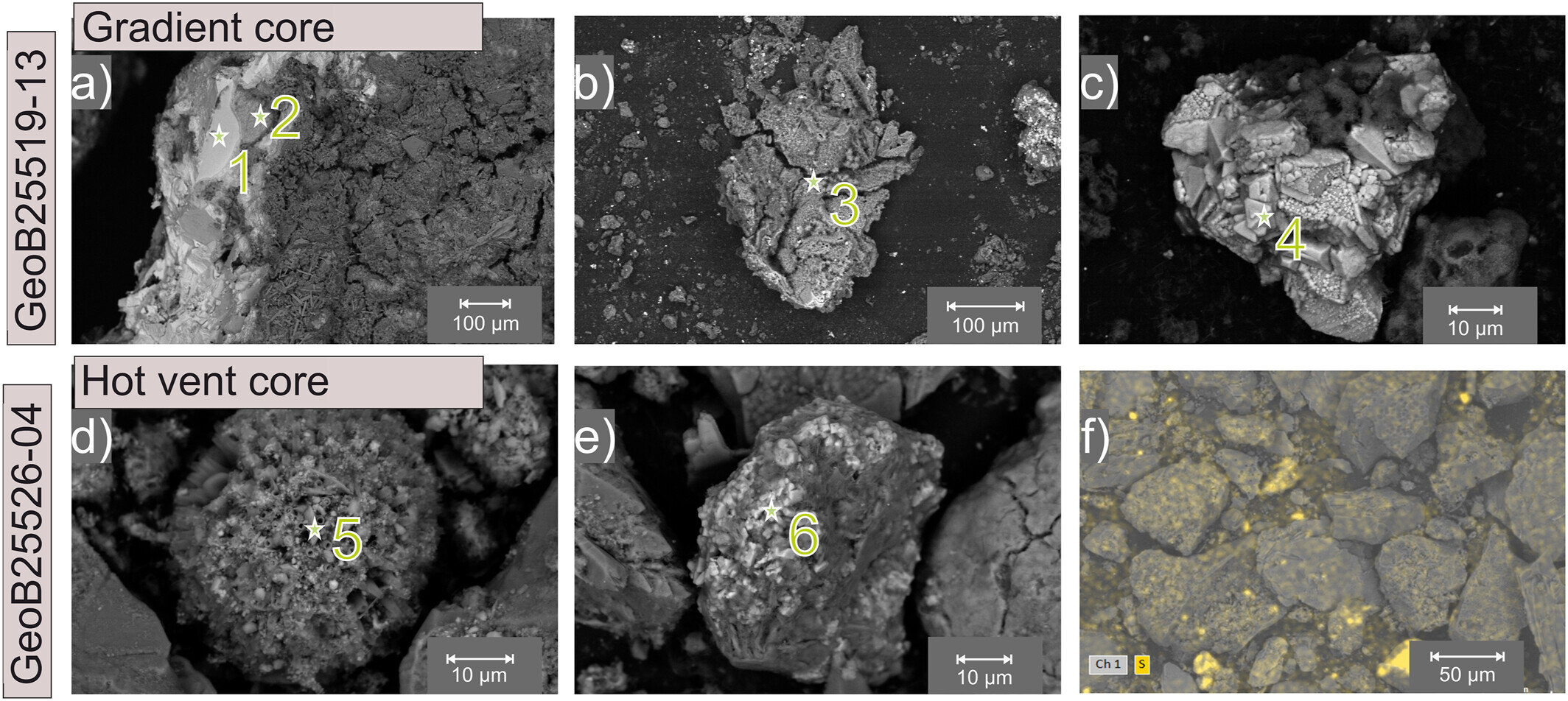 Hydrothermal microbes shape seafloor minerals at newly found vents near Greek island