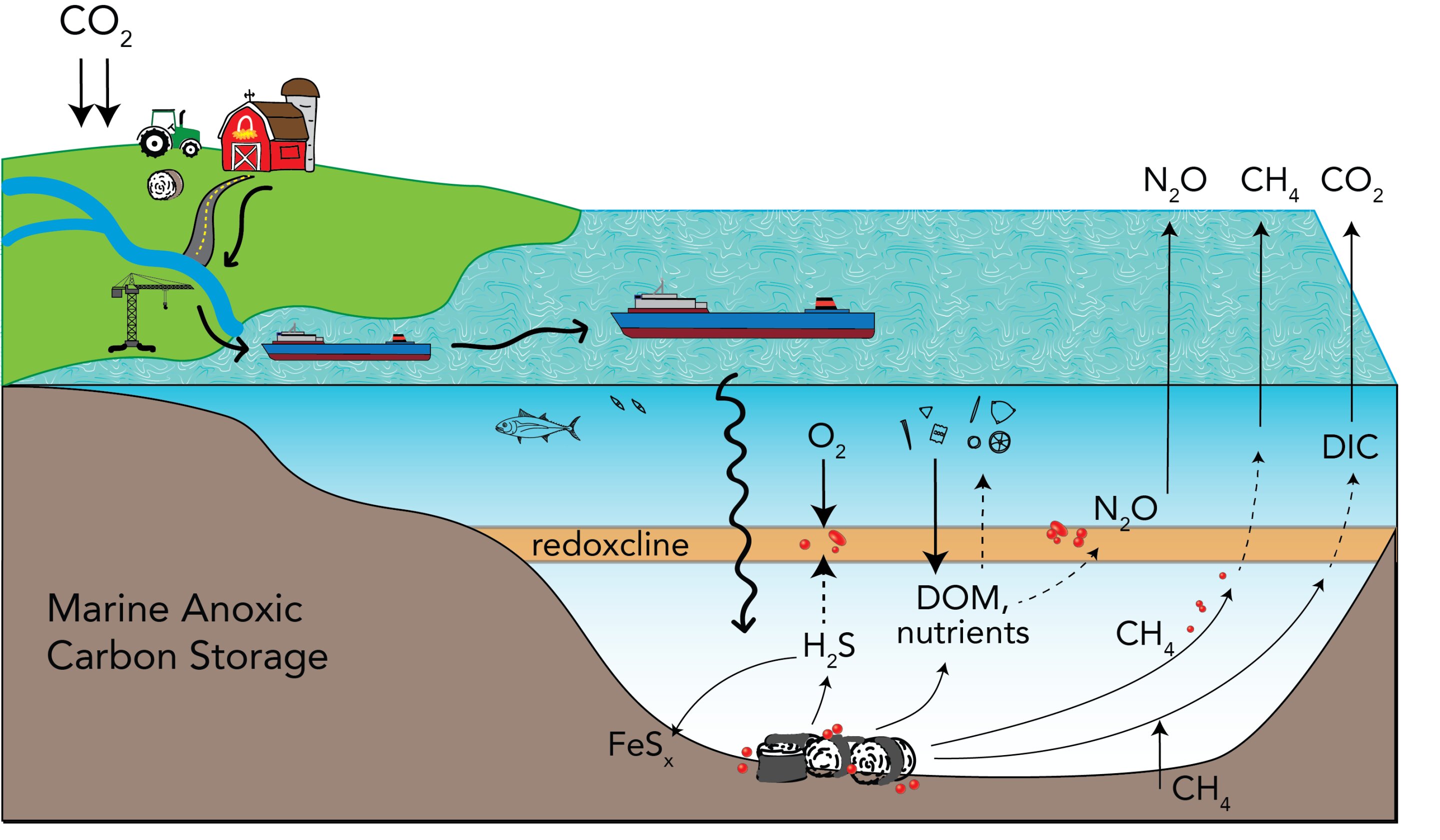International team evaluates anoxic marine basins as potential sites for carbon sequestration