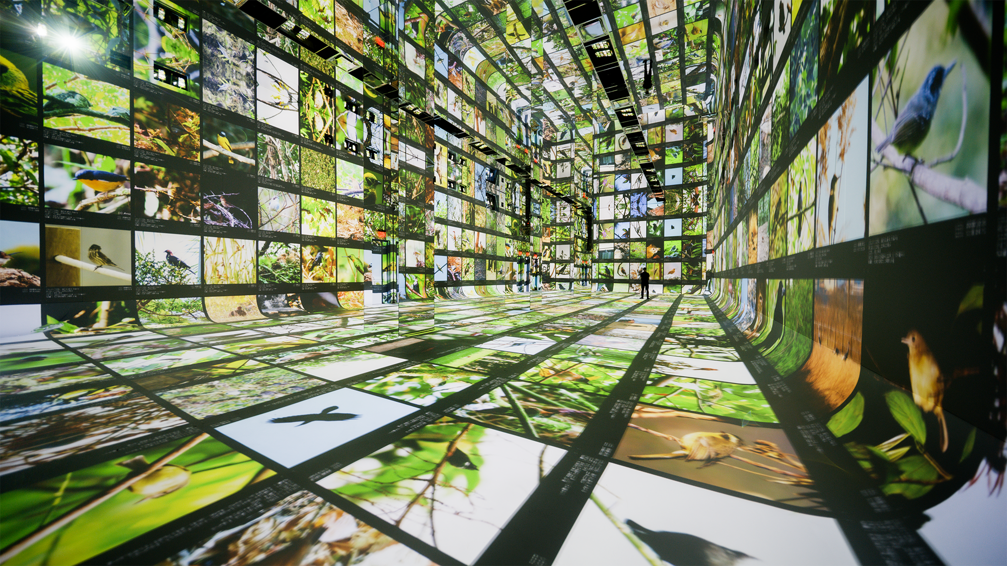 'Machines are collaborators' at this new museum of AI art
