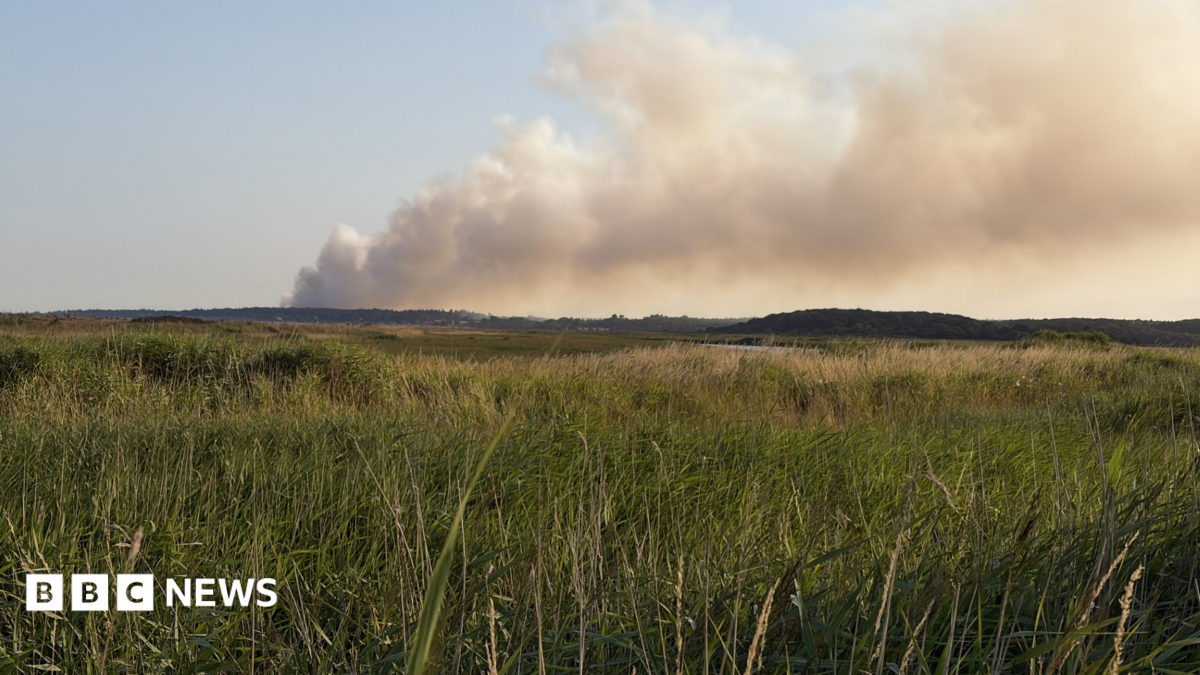 Major incident declared over coastal heath fire in Suffolk