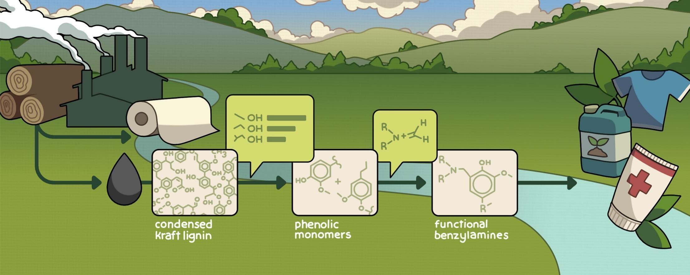One of industry's toughest lignin byproducts could become feedstock for valuable chemicals