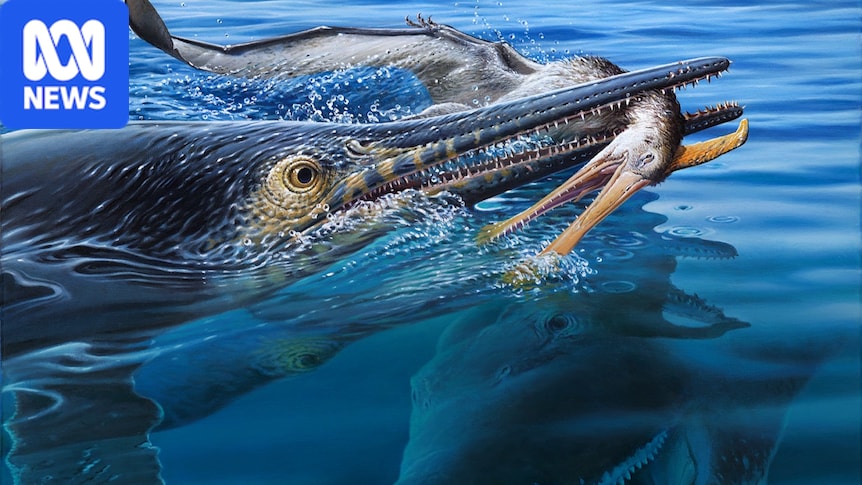 Prehistoric 'murder scene' reveals 'unbelievable' triple-predator scenario