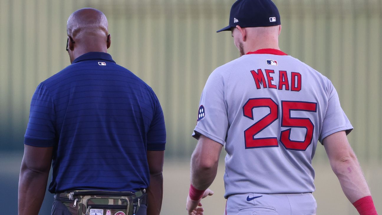 Red Sox place newly acquired Curtis Mead on IL with fractured wrist
