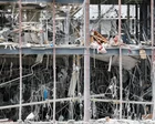 Rescue teams face ‘race against time’ in search for trapped survivors as death toll in Japan rises to at least 13 – live updates