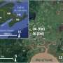 Restored wetlands aren't clear-cut wins against climate change, study suggests