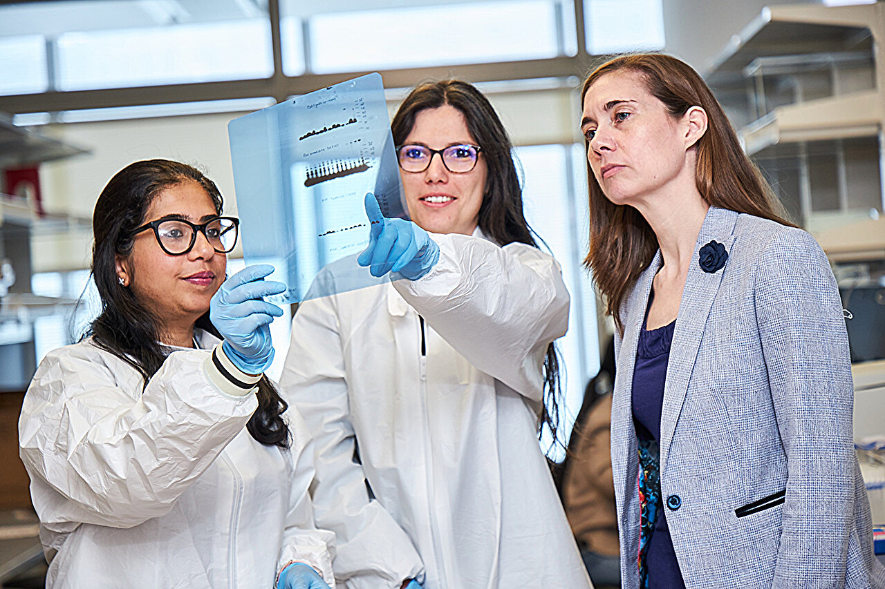 Scientists identify fructose as a surprise driver of cancer spread