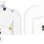 Scientists invent artificial brain to predict heart health