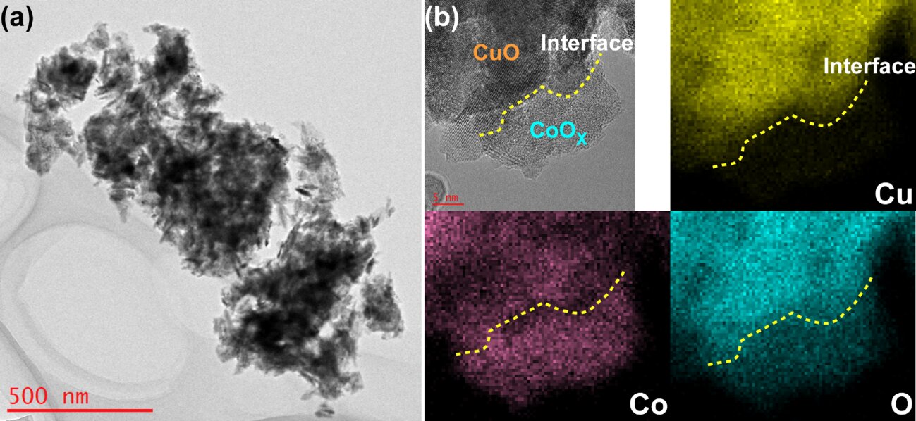 Self-adaptive Cu–Co catalyst converts nitrate pollution into green ammonia through dynamic catalyst reconstruction