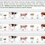 Shoppers would fork out more for better farm animal welfare