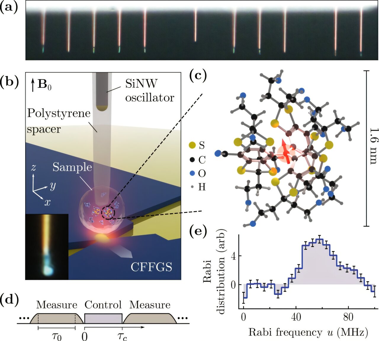 Single molecule becomes quantum sensor for imaging proteins at nanoscale