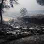 Spain's three worst wildfires since 1961 happened in last two years