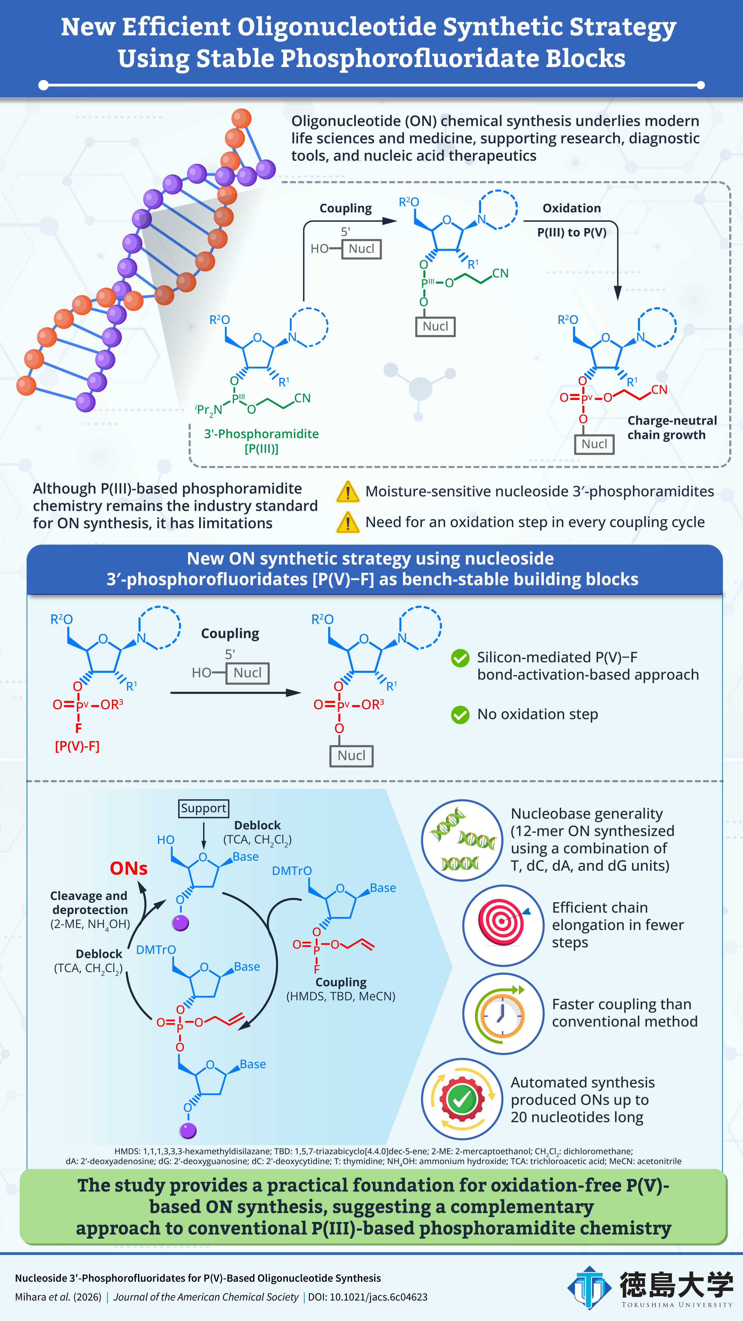 Stable DNA building blocks enable faster oligonucleotide synthesis without oxidation