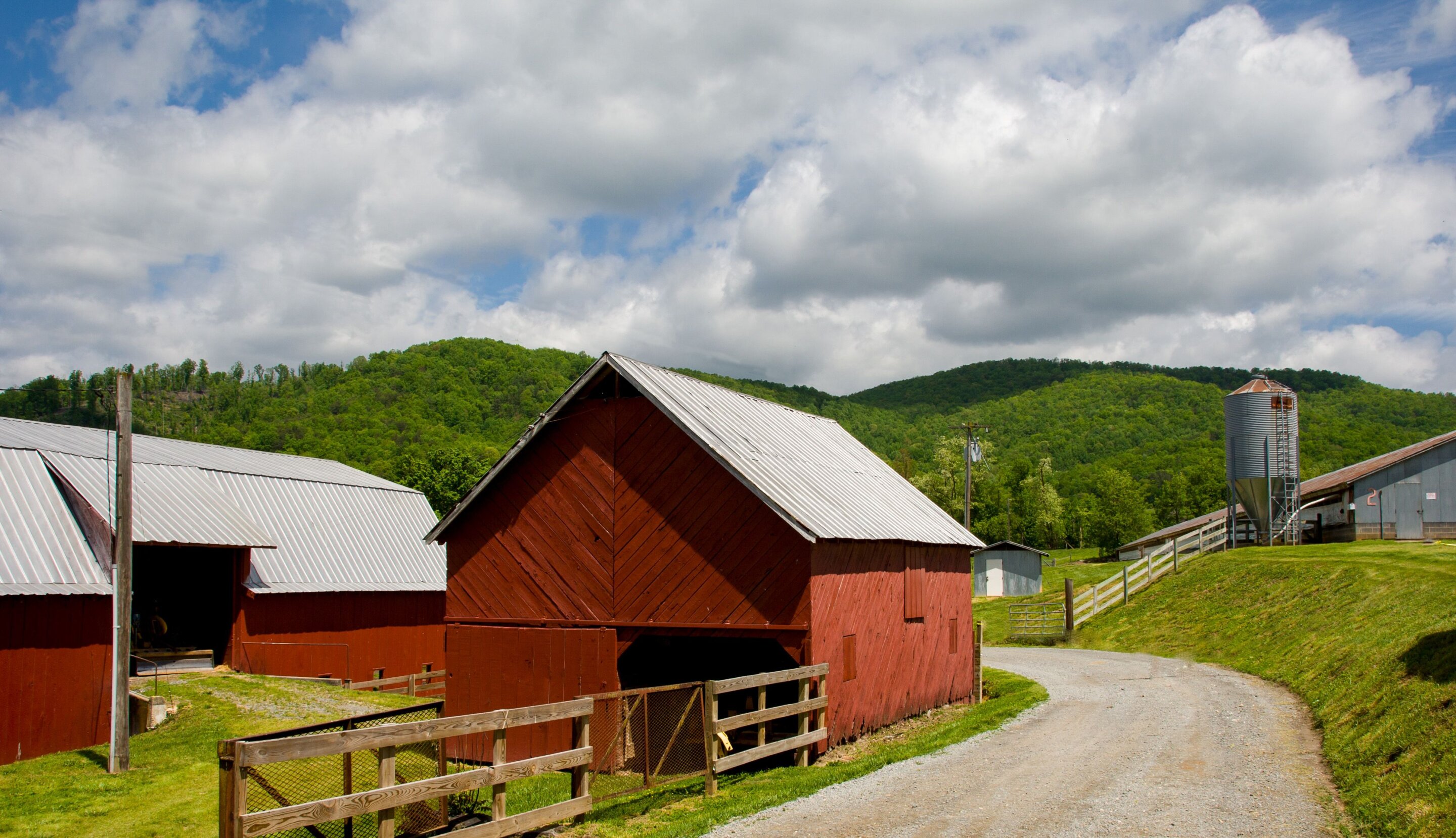 Study identifies which bacteria trigger the 'farm effect' that makes children less prone to allergies