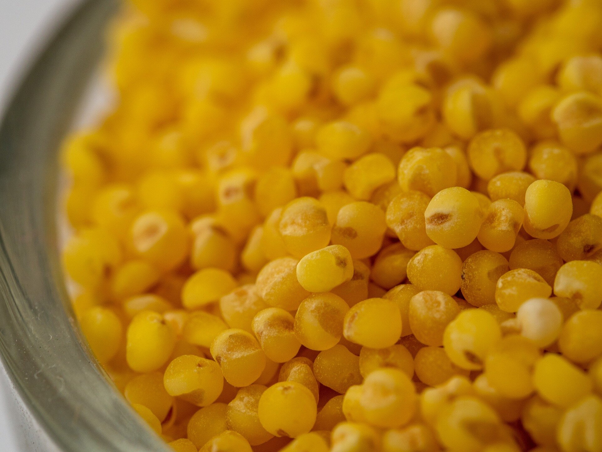 Supercharged millet could help children's gut health without usual supplement side effects