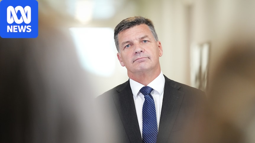 Taylor denies giving money to group at centre of NSW corruption probe