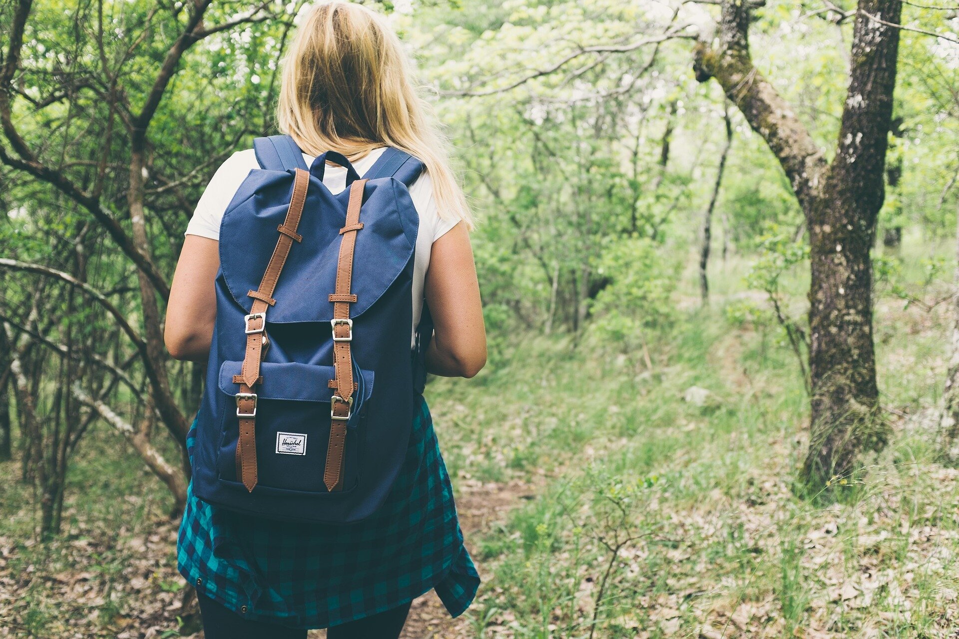 The best medicine may be free: What a daily dose of nature does for the body