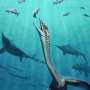 Unique fossil reveals the internal organs of a 245-million-year-old marine reptile