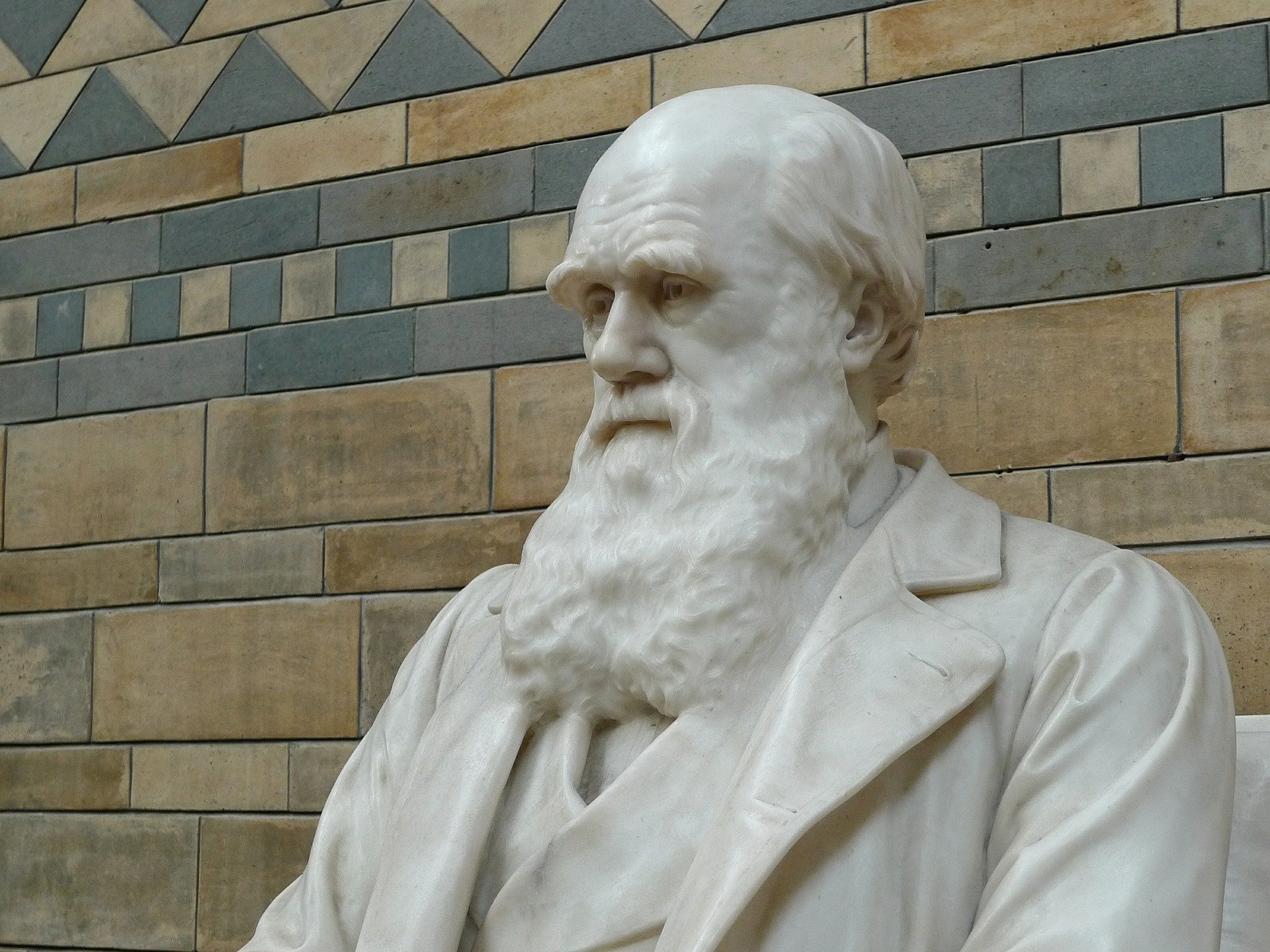 Updating Darwin: Biologists are returning to an older theory to explain anomalies in evolution
