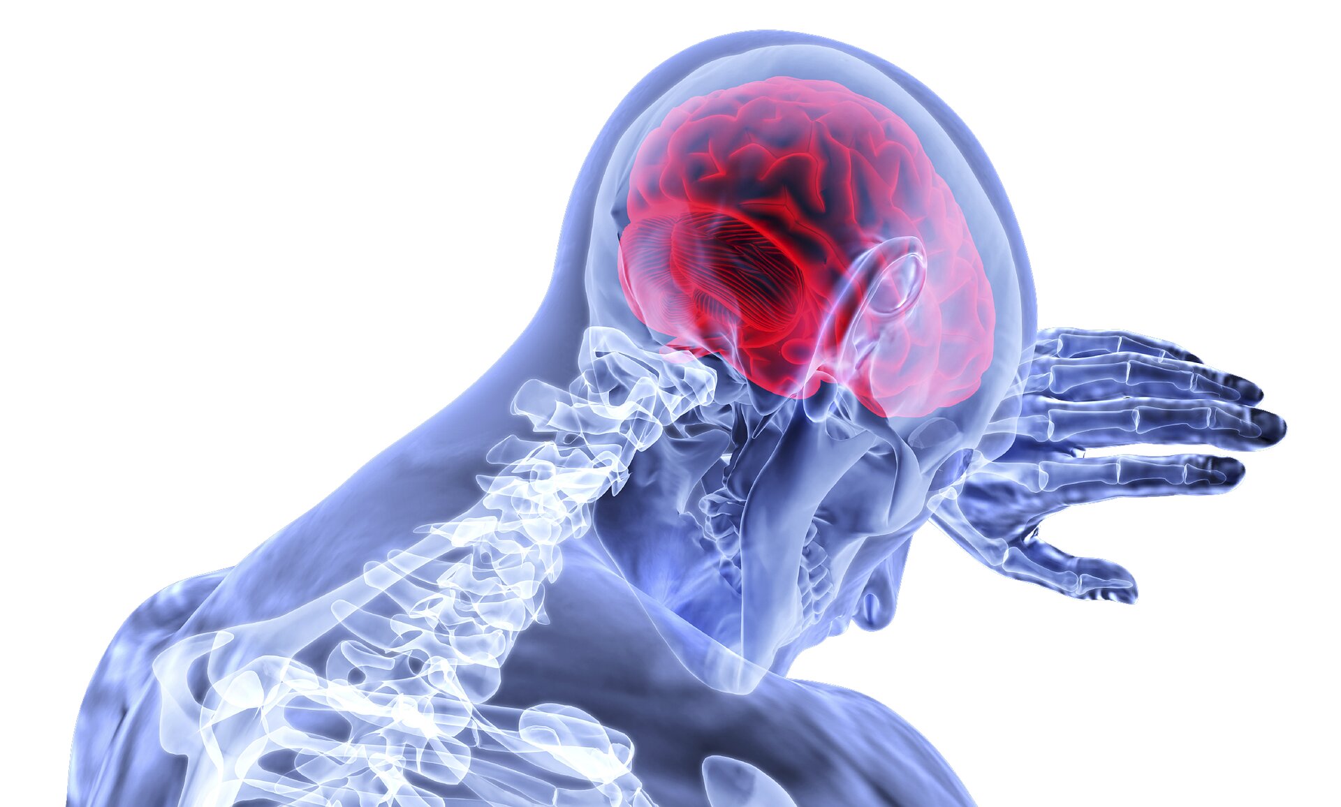 Widening ethnic and socioeconomic inequalities in stroke identified in 30-year research
