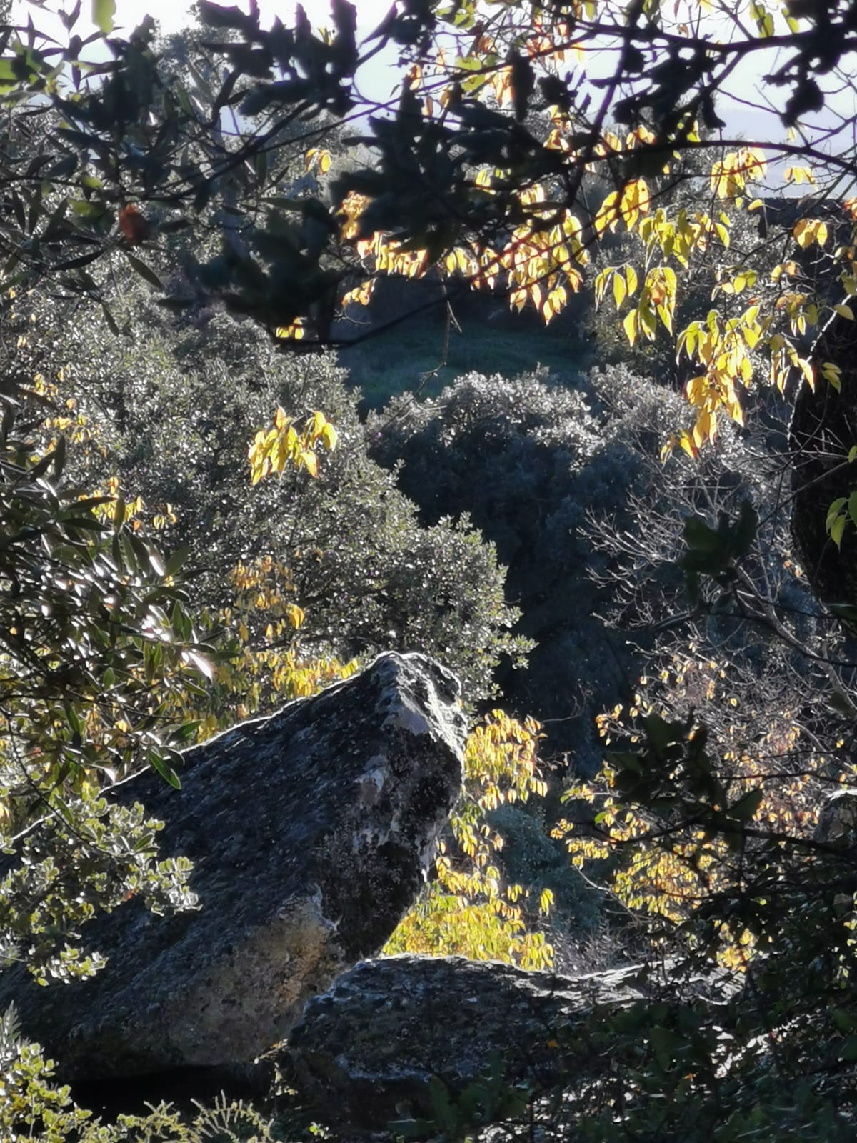 image slot