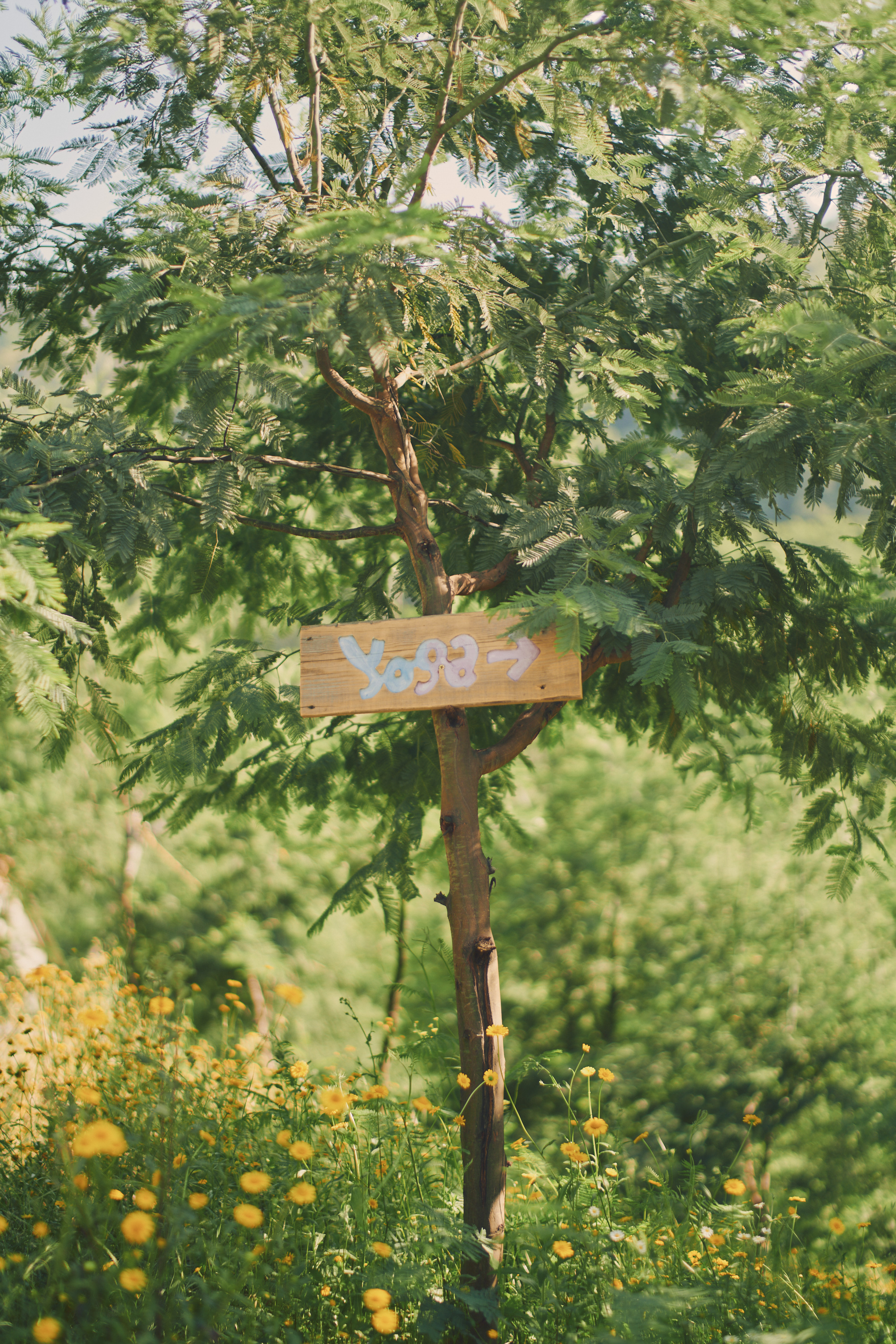 image slot