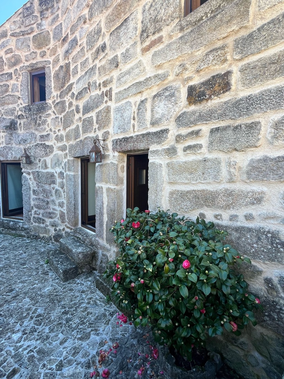 image slot