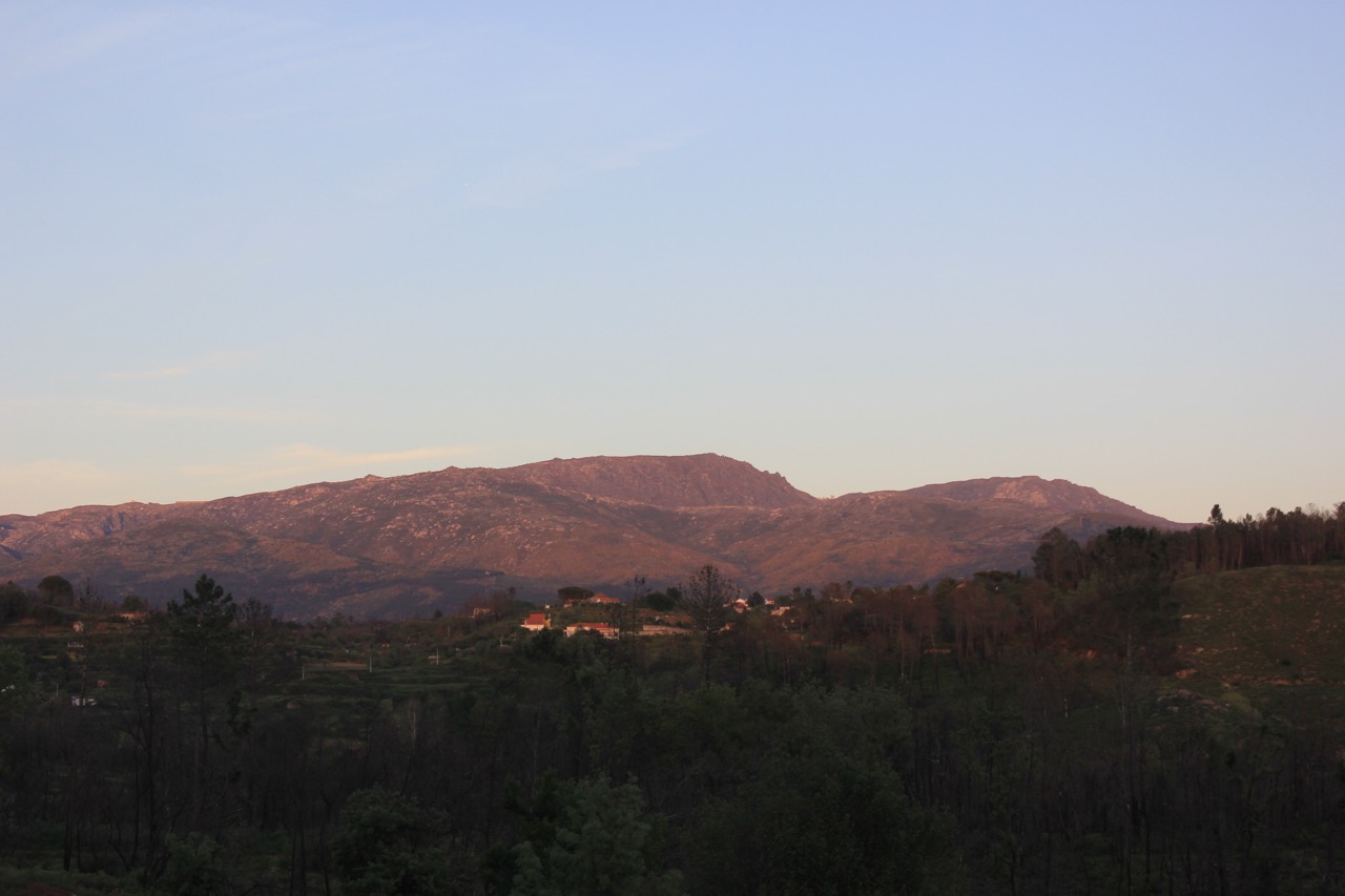 image slot