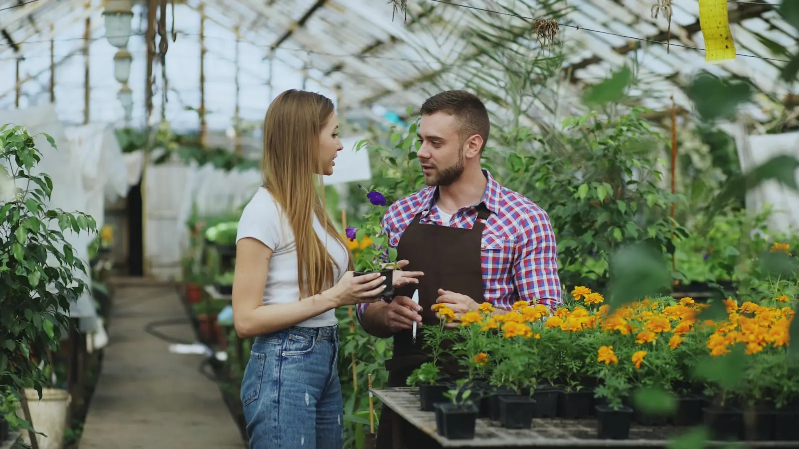 AI Feedback Loops Are Becoming a Small Business Advantage