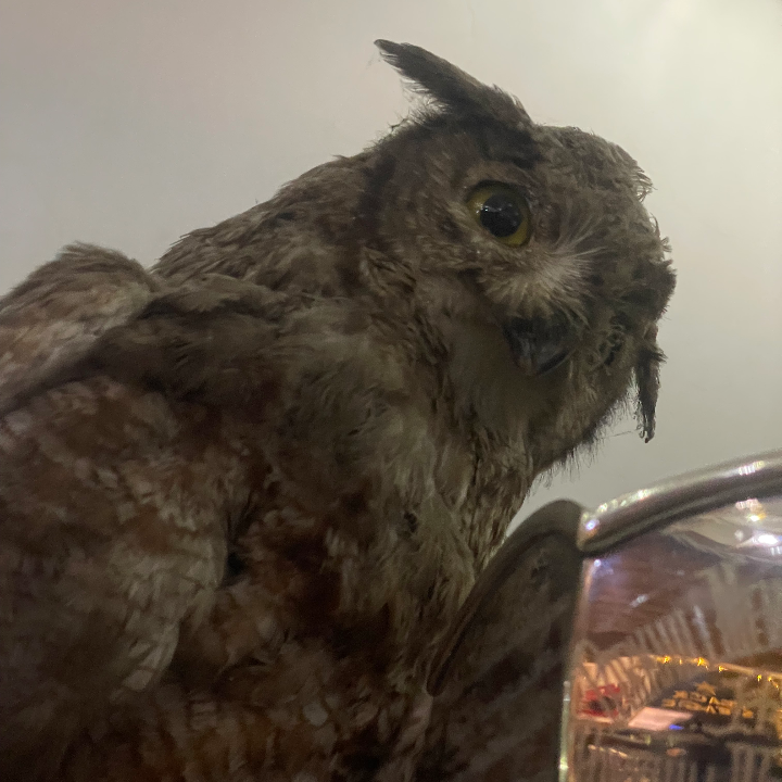 Personalized Video Greeting,