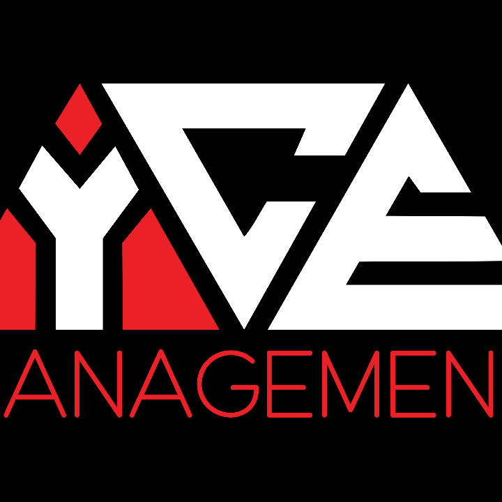 1-on-1 Mentorship (30 min)