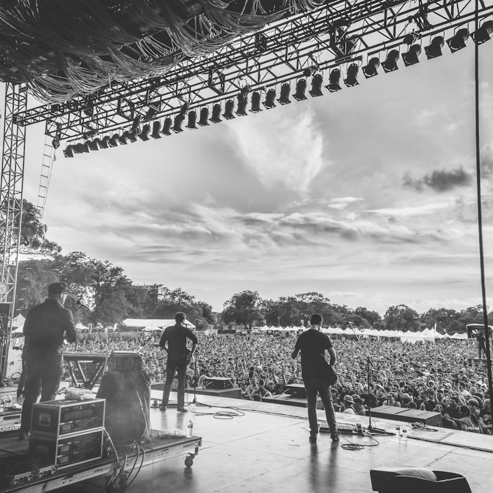 Backstage Pass: VIP Concert Experience