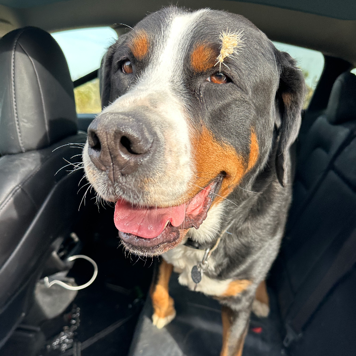 Personalized Video Greeting,