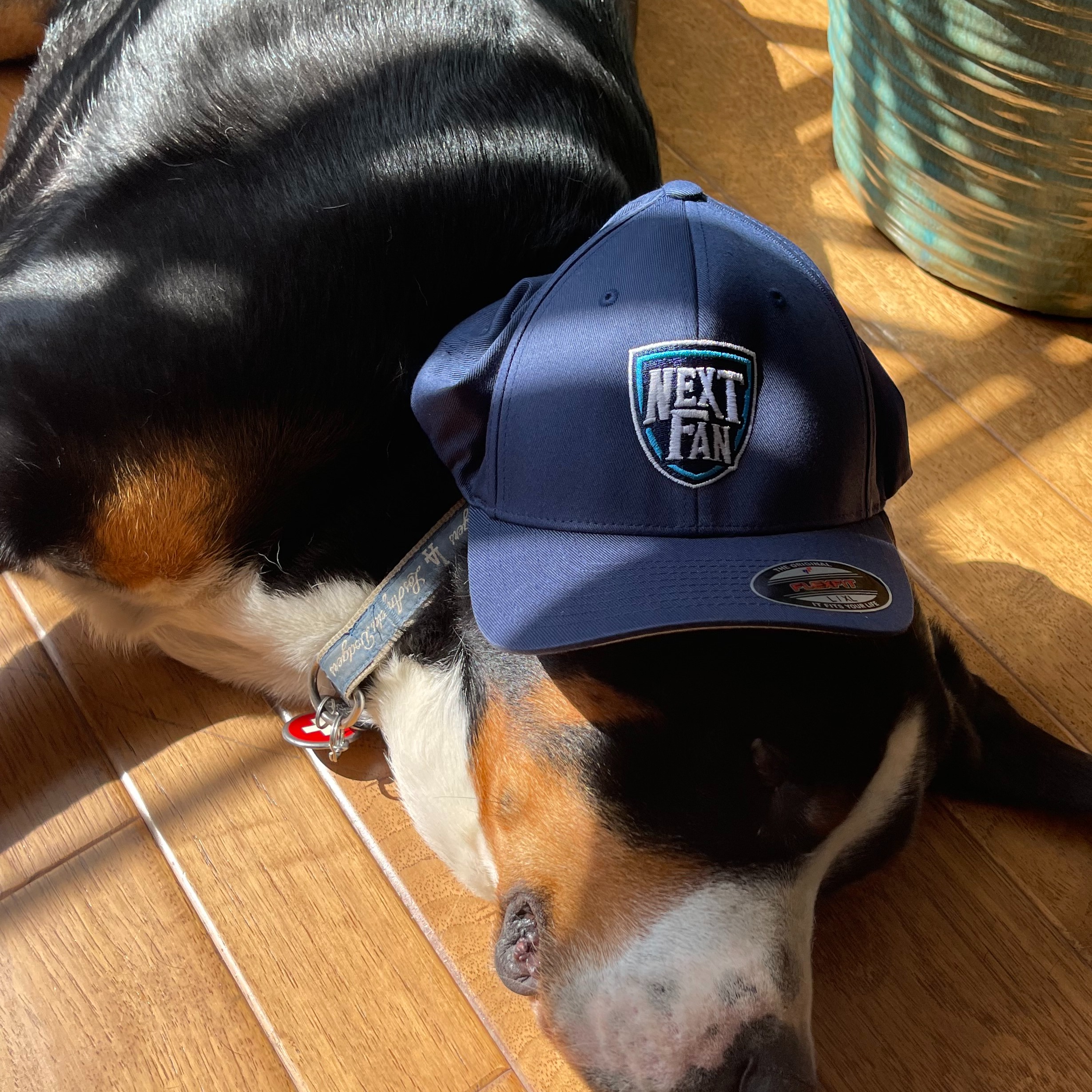 Vintage NextFan Hats