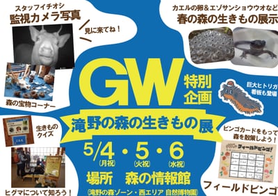 【GW特別企画】滝野の森の生きもの展