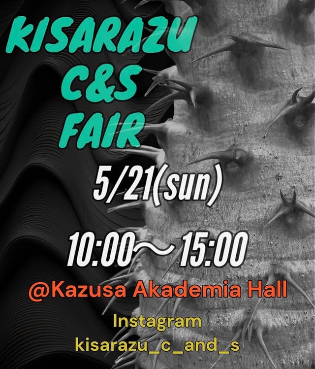 KISARAZU C&S FAIR