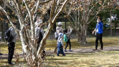 植物園スタッフと早春の花を探しに行こう！