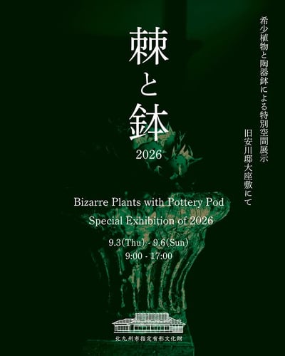棘と鉢-2026-