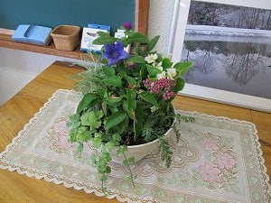 ８月の寄せ植え教室